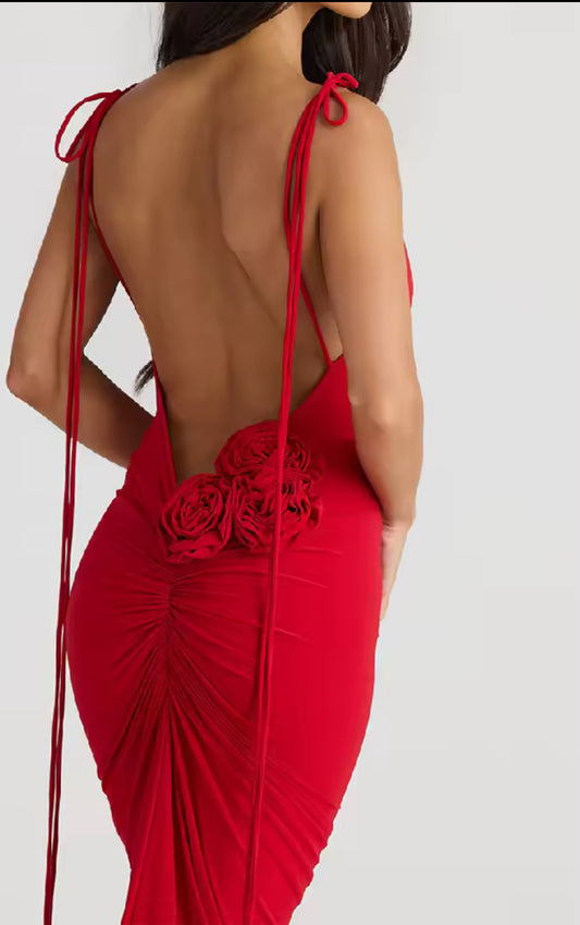 Red Maxi dress