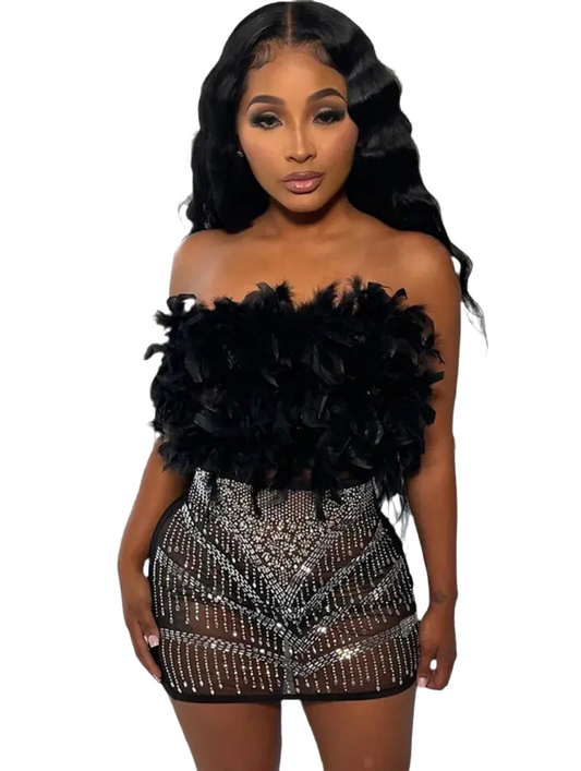 Rhinestone feather dress